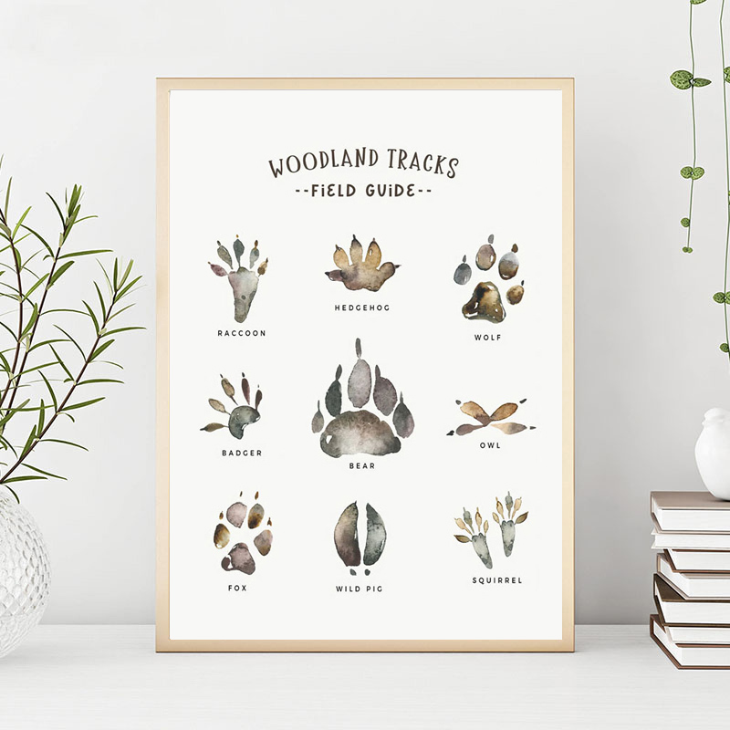 Fox Raccoon Owl Wolf Forest Nu - Animals Baby Nursery review and price