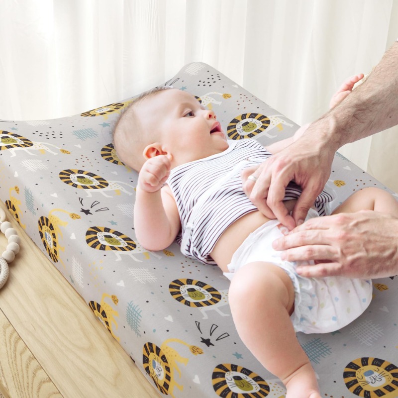 2-Pack Baby Changing Pad Cover - Baby Nursery Colors review and price